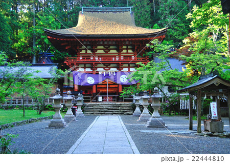 丹生都比売神社楼門 丹生都比売神社楼門 22444810