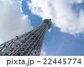 東京スカイツリーを見上げて 東京スカイツリーを見上げて 22445774