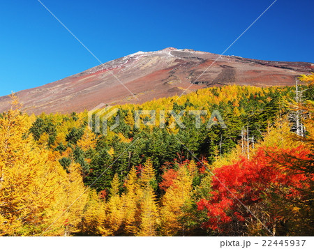 富士山スカイラインの紅葉風景の写真素材