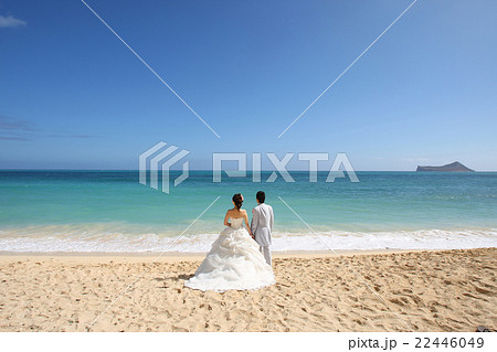 海外挙式 海外挙式 22446049