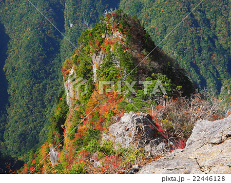 紅葉の大台ヶ原 22446128