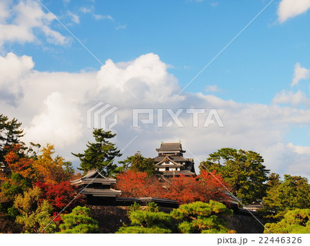 紅葉の松江城の写真素材