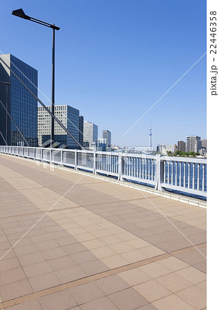 中央大橋からのスカイツリー 22446358