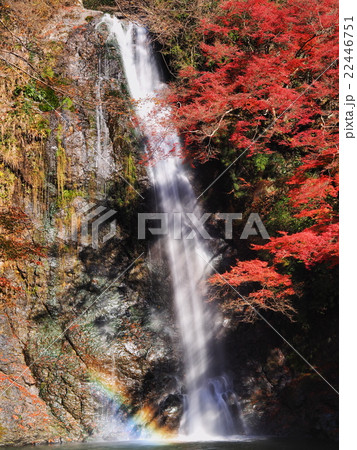 紅葉の箕面の滝の写真素材