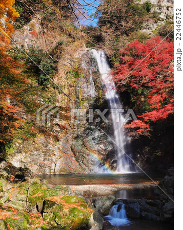 紅葉の箕面の滝の写真素材