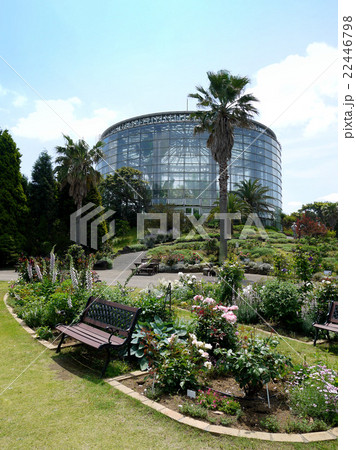 三陽メディアフラワーミュージアム 千葉市花の美術館 の庭園と温室 5月 千葉県千葉市の写真素材