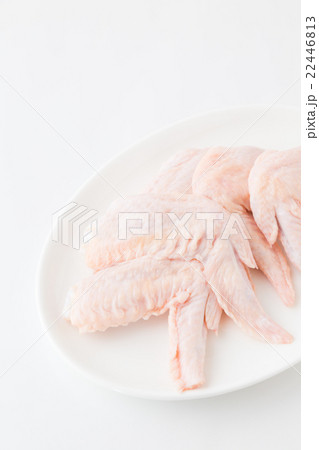 鶏の手羽先 生肉 鶏の手羽先 生肉 22446813