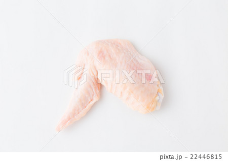 鶏の手羽先 生肉 鶏の手羽先 生肉 22446815