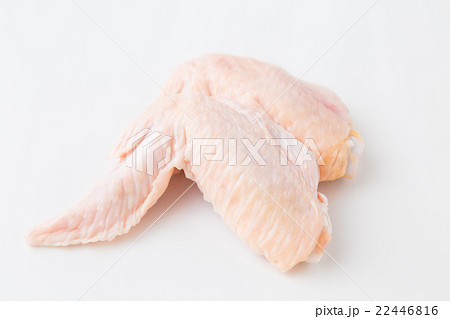 鶏の手羽先　生肉 22446816