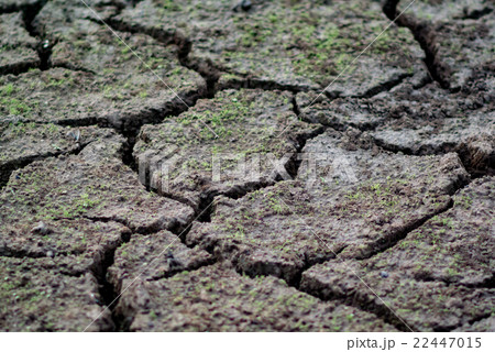 Dried land background (Selective focus) 22447015