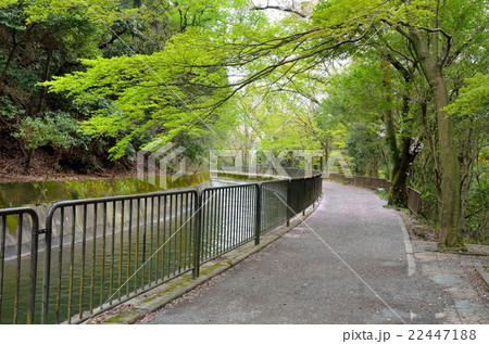 山科疎水 22447188