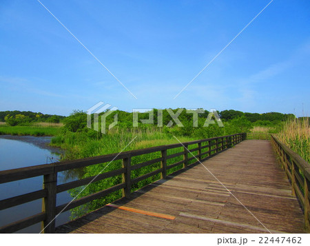 菅生沼ふれあい橋 菅生沼ふれあい橋 22447462