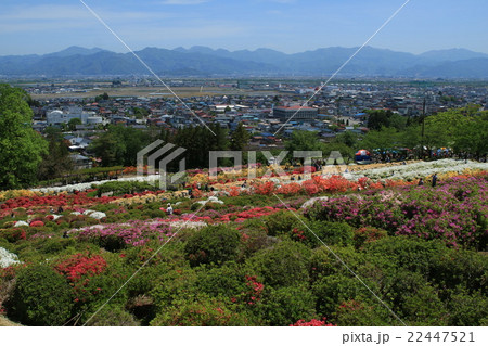 東北一のさつき公園 東北一のさつき公園 22447521