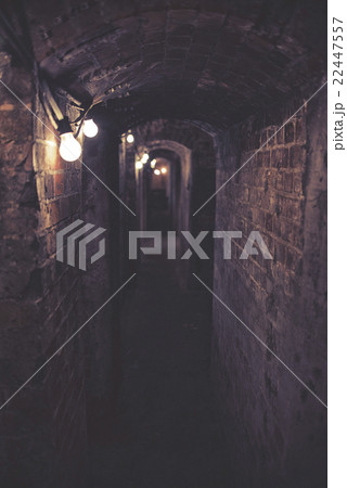 Dark spooky tunnel with power lines, noise 22447557