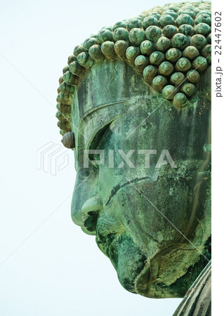 鎌倉大仏 鎌倉大仏 22447602