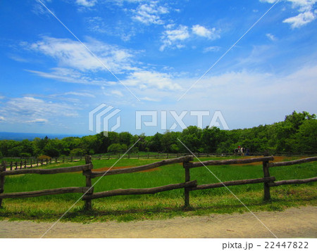 南ヶ丘牧場 22447822