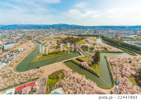 函館 五稜郭タワーから眺める桜と青空 横 の写真素材