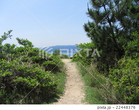 山道 22448376