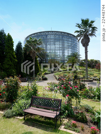 三陽メディアフラワーミュージアム（千葉市花の美術館）の庭園と温室（5月）千葉県千葉市 22448744