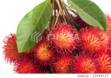 Fresh rambutan 22449317