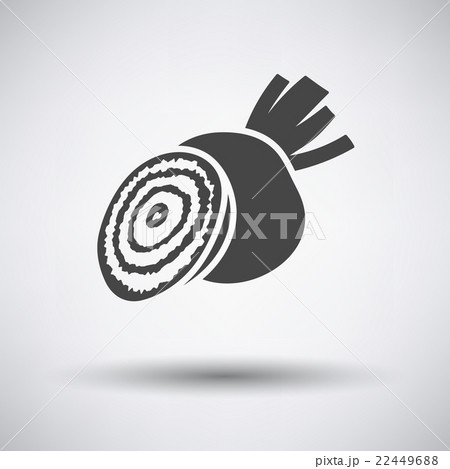 Beetroot  icon on gray background 22449688