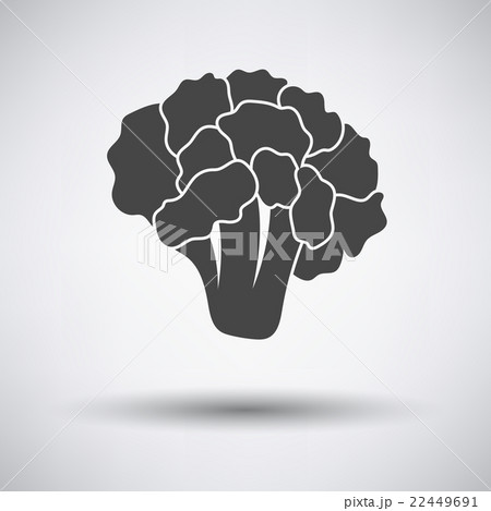Cauliflower icon on gray background 22449691