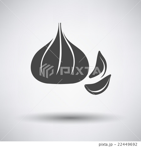 Garlic  icon on gray background 22449692