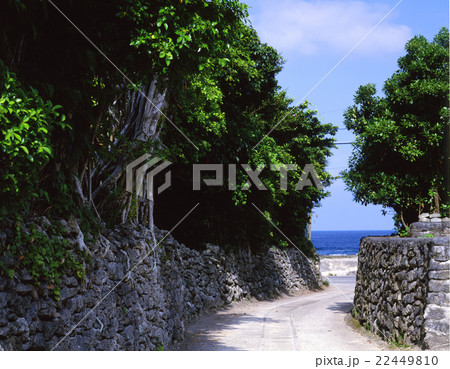 サンゴの石垣 サンゴの石垣 22449810