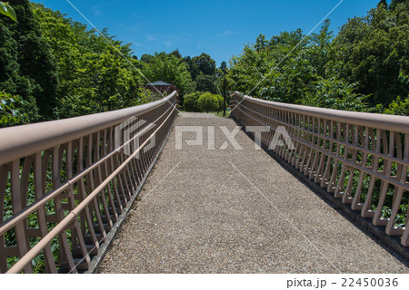 公園の橋 公園の橋 22450036