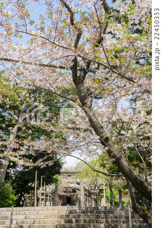 沼津市　日枝神社 22450353