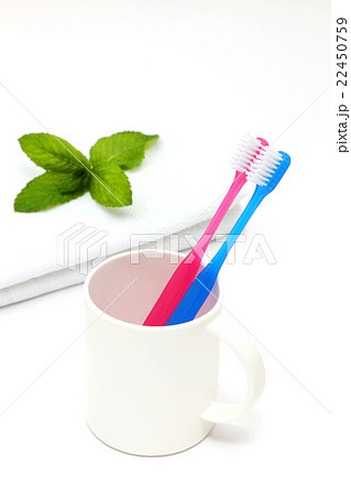 歯ブラシ 22450759