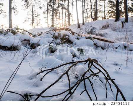 beautiful winter landscape beautiful winter landscape 22451112