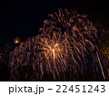 Big colorful fireworks  22451243