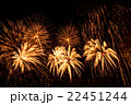 Big colorful fireworks  22451244