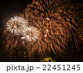 Big colorful fireworks  22451245