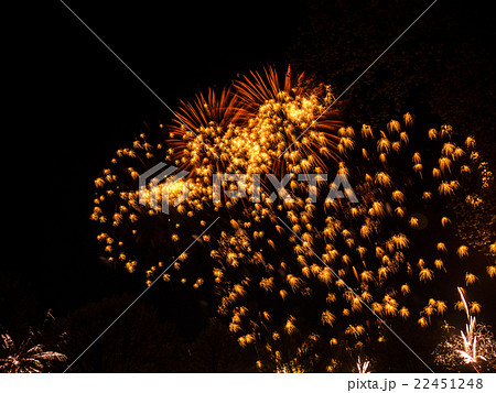 Big colorful fireworks  22451248