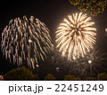 Big colorful fireworks  22451249