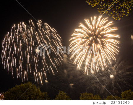 Big colorful fireworks  22451249