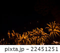 Big colorful fireworks  22451251