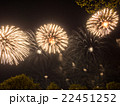 Big colorful fireworks  22451252