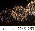 Big colorful fireworks  22451253