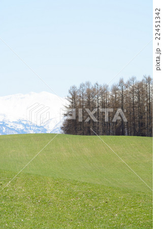 北海道美瑛の丘と大雪山系 22451342