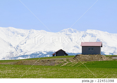 北海道美瑛の丘と大雪山系 22451398