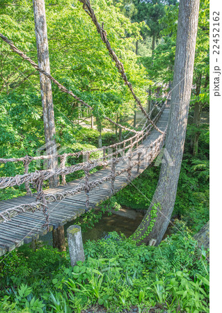 かずら橋 22452162