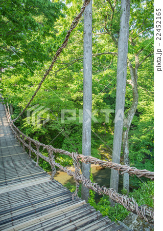 かずら橋 かずら橋 22452165