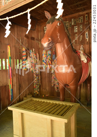 穂高神社の神馬 22453031