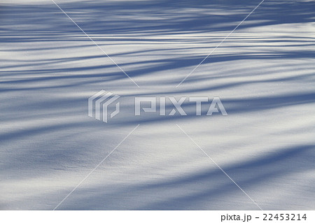 雪と木の影がおりなす紺とグレーの縞模様のグラデーションの背景 テクスチャー 雪面の写真素材