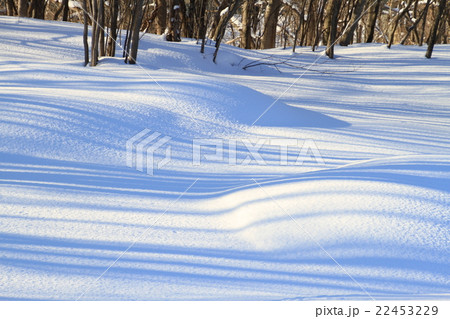 雪原に映る白と青の木影の縞模様グラデーションの風景の背景素材、雪面 雪原に映る白と青の木影の縞模様グラデーションの風景の背景素材、雪面 22453229
