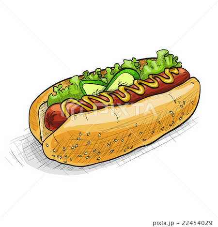 hot dog, color picture hot dog, color picture 22454029