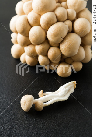 shimeji mushrooms brown varieties shimeji mushrooms brown varieties 22454721